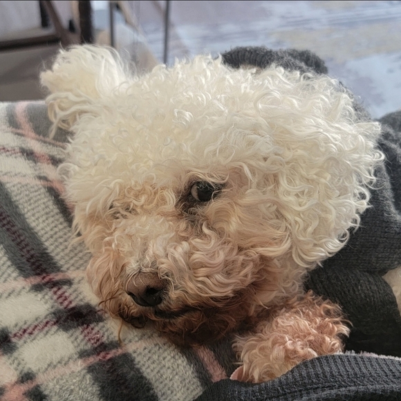 ๐ฆ ABOUT ME ๐ฆ โจ JEWELRY โจ - Picture 13 of 16